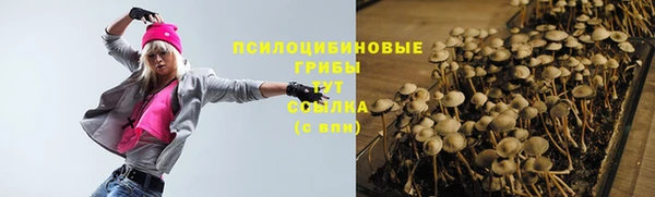 шишки Корсаков